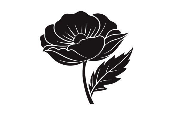Download Poppy Flower Illustration. - Poppy flower illustration Collection