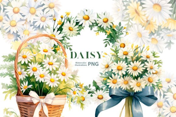 Download Watercolor Daisy Flowers Clipart - Premium Resources