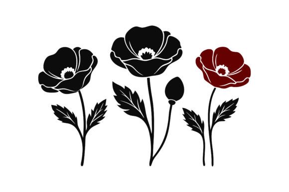 Download Poppy Flower Illustration. - Poppy flower illustration Collection