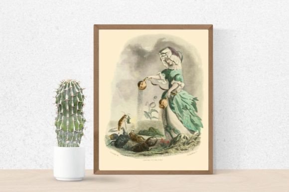 Download Poppy Flower Illustration - Poppy flower illustration Collection