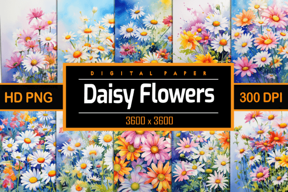 Download Watercolor Daisy Flowers - Premium Resources