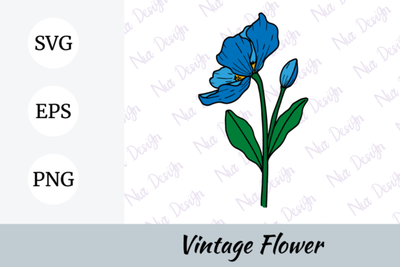 Download Flower Illustration Himalayan Poppy - Premium Bundle