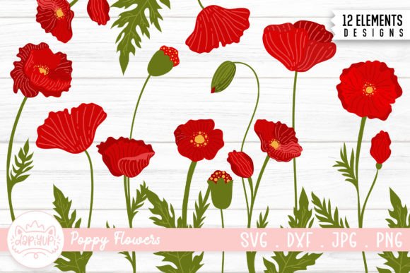Download Poppy Flower Illustration Bundle | Poppy - Poppy flower illustration Collection