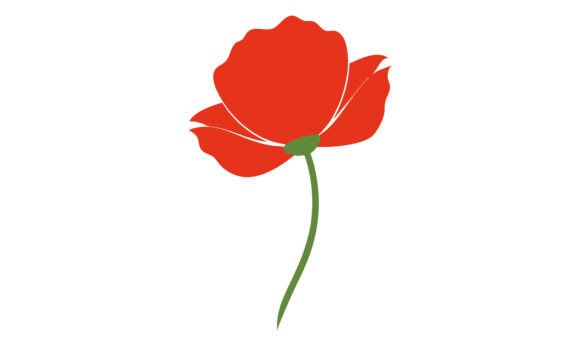 Download Simple Red Poppy Flower Illustration - Poppy flower illustration Collection
