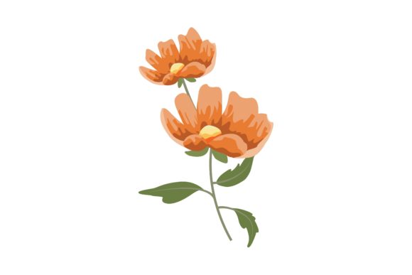 Download Orange Poppy Flower Illustration - Poppy flower illustration Collection